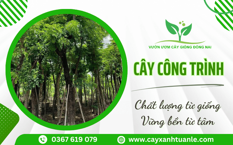 Cây công trình Đồng Nai